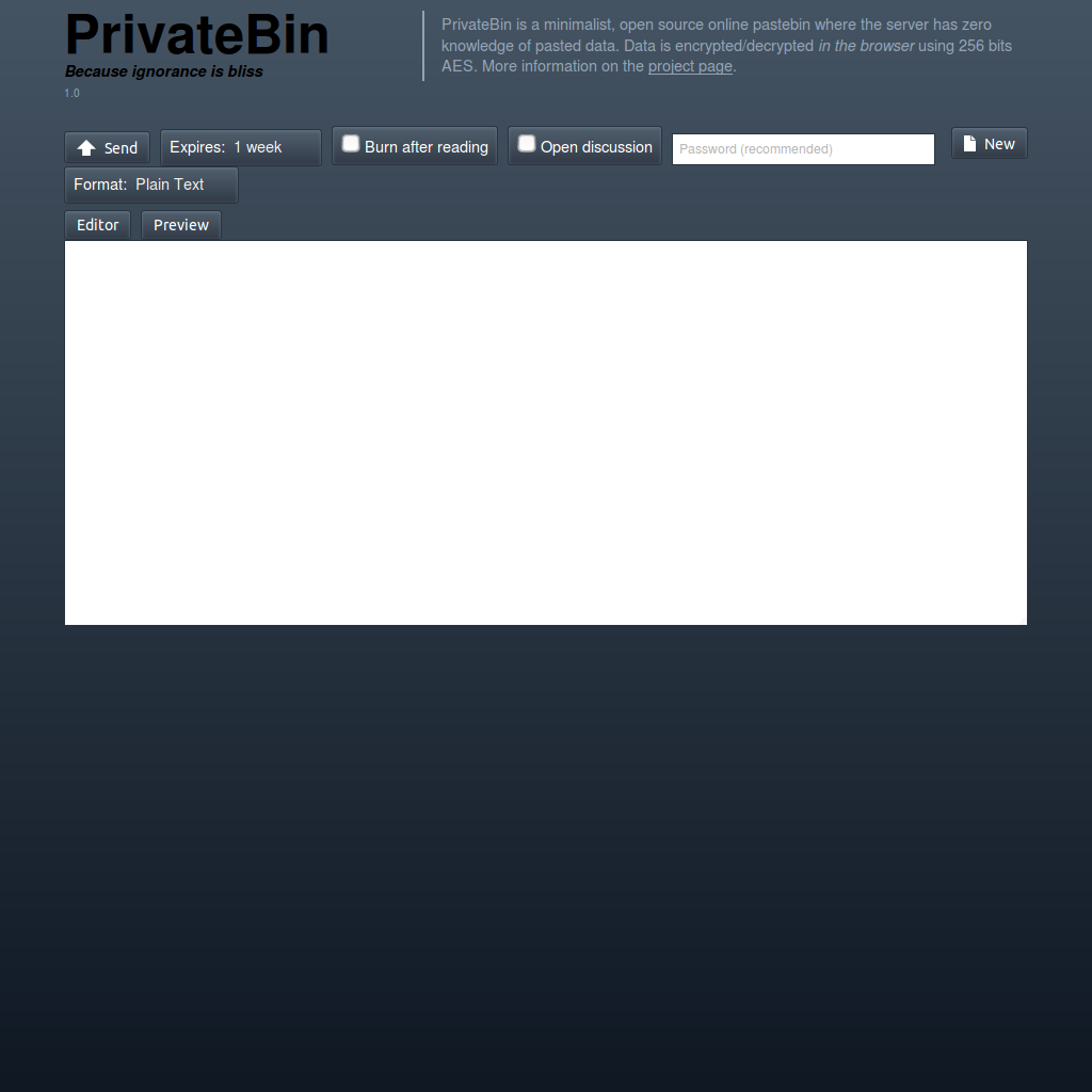 page PrivateBin template